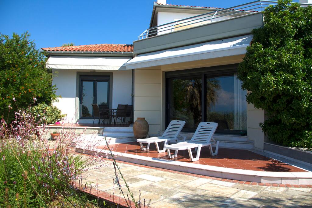 The outdoor space in front of the living room and the kitchen.