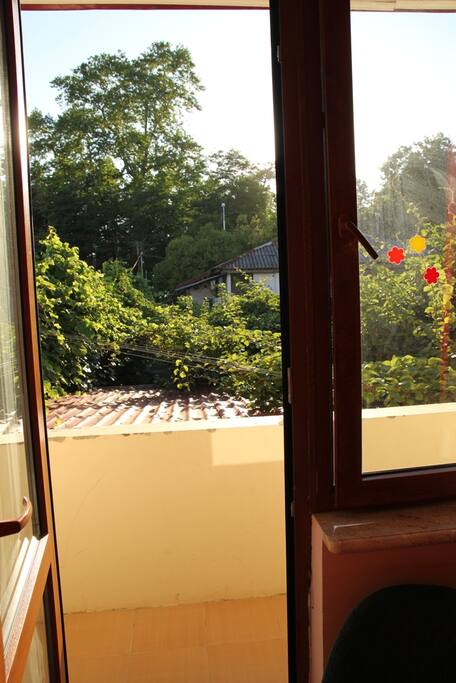 view from balcony