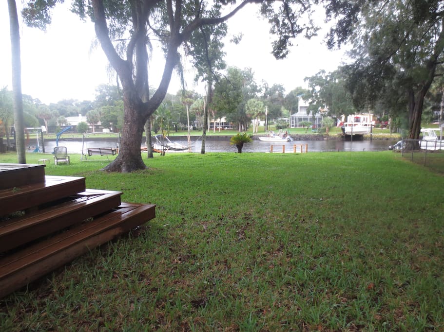 View of large back yard