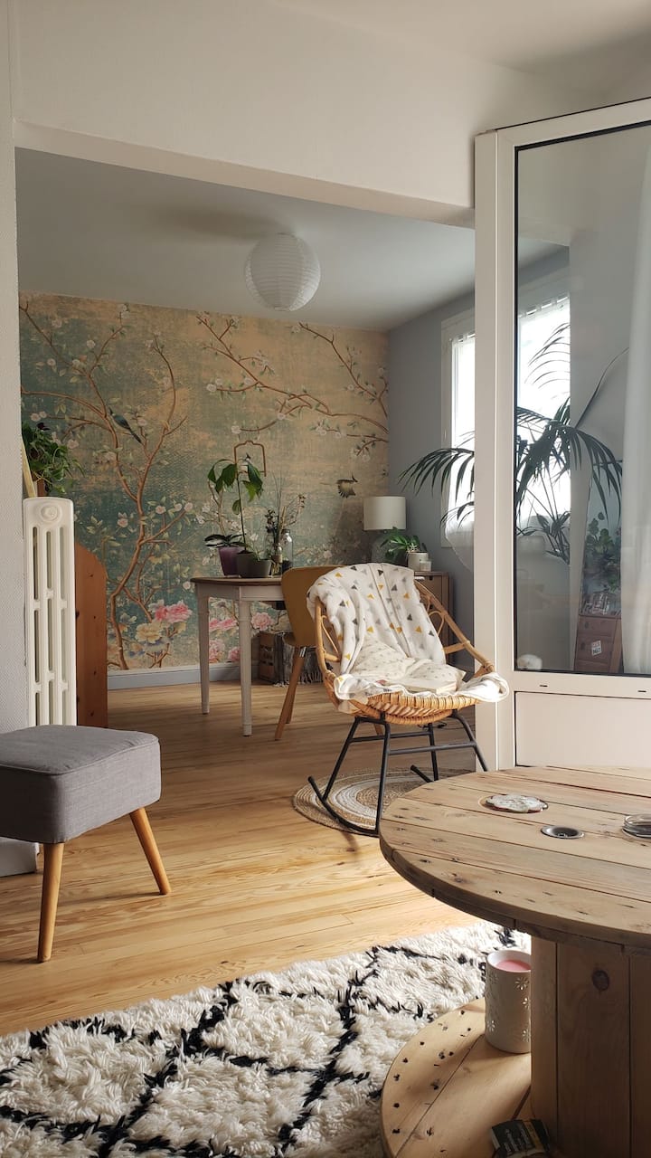 Beautiful Clermont apartment inundated with light Apartments for Rent in ClermontFerrand