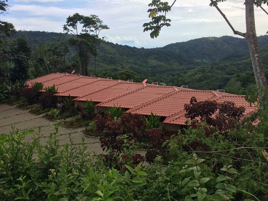Ocean View Condos overlooking Baru River Valley near Dominical Beach