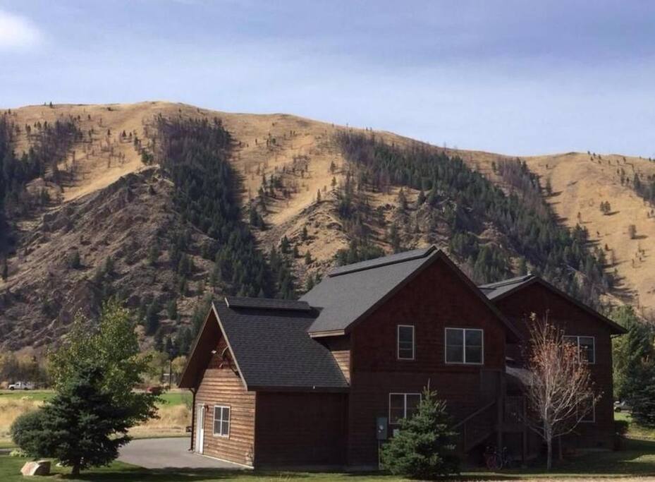 Backyard view!