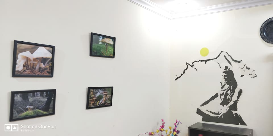 The Mushroom House In Khar Bandra Mumbai Apartments For Rent In Mumbai airbnb