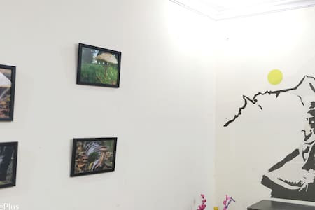 The Mushroom House in Khar/Bandra - Mumbai