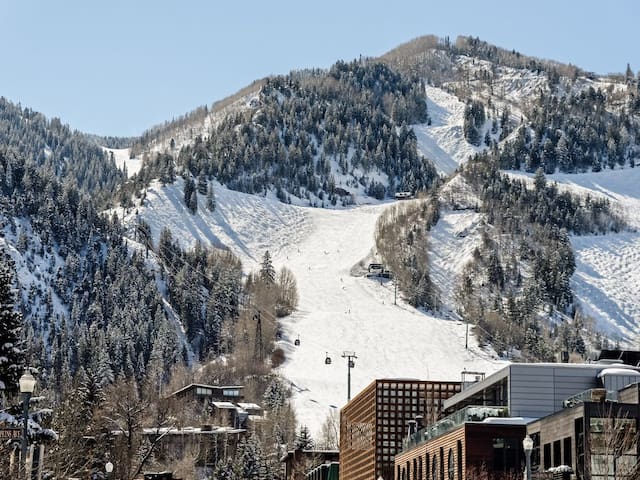 Newly Remodeled Studio Condo in the Heart of Aspen