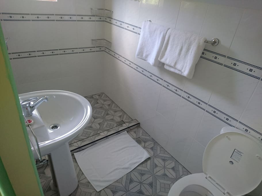 Showroom with toilet and walk in rain shower.