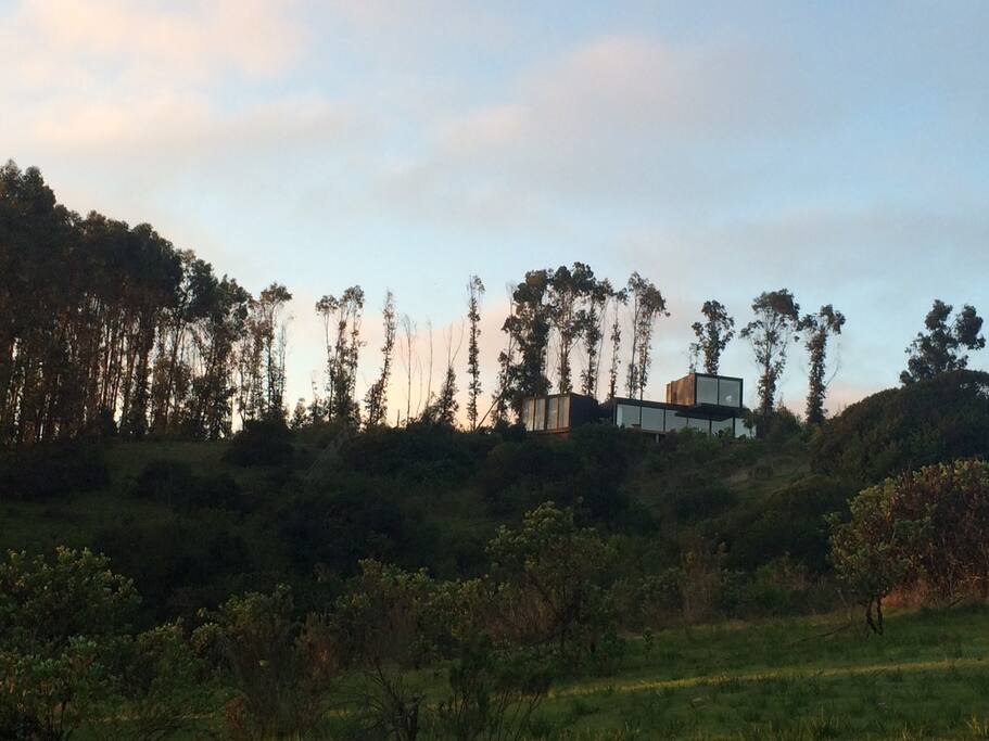 Rodeada de mar, naturaleza, árboles y flora nativas.
