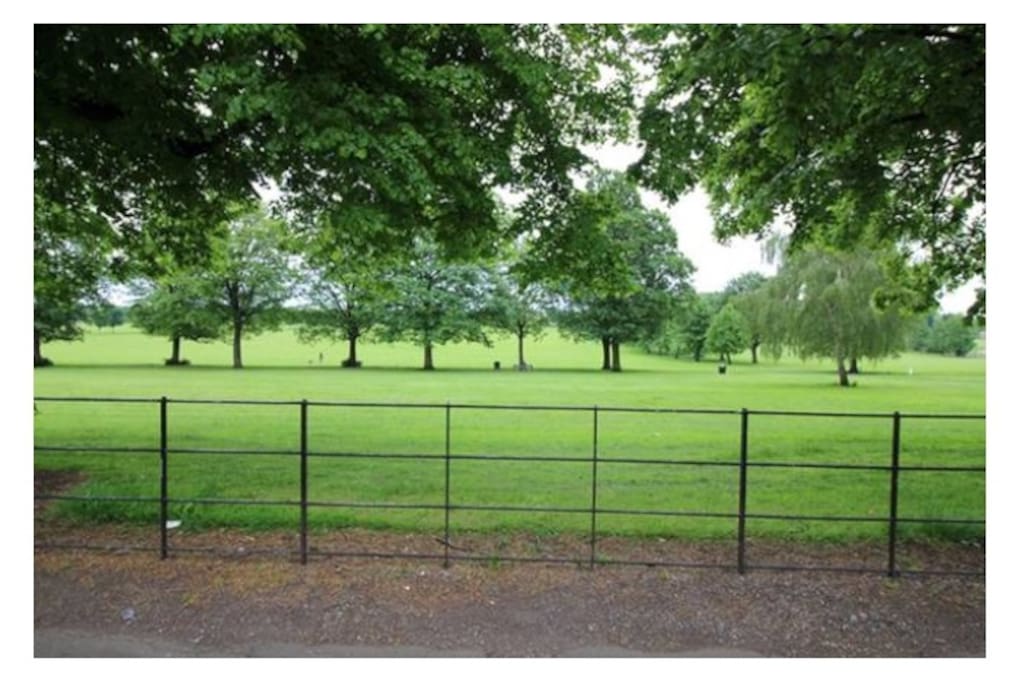 Town Fields Park....
Just step outside the gate!