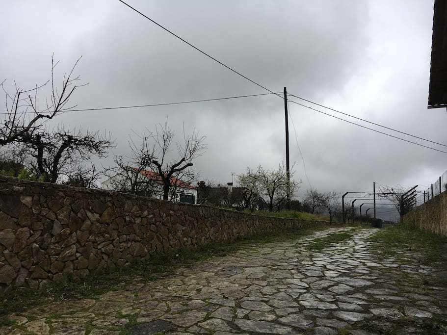 Roadway