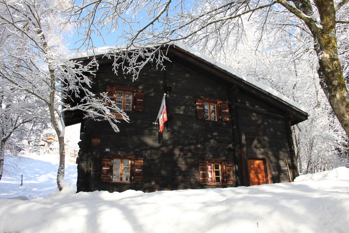 The rustic two-story chalet is surrounded by a serene snowy landscape. Its dark wooden façade contrasts with the glistening snow, while the windows display shutters in a warm, earthy tone. A flag is visible, adding a touch of color to the winter scene.