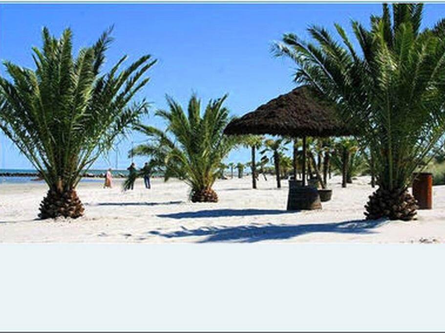 Palmstranden