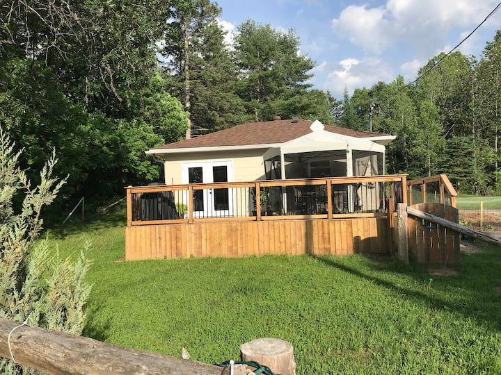 A cozy cottage in the woods minutes from Bancroft Cottages for Rent