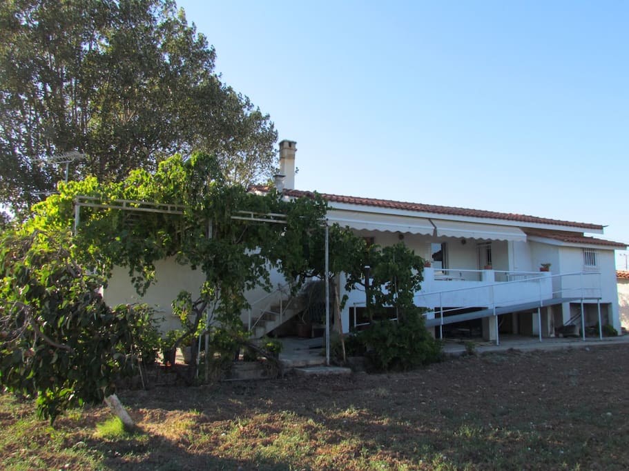Front view of House
