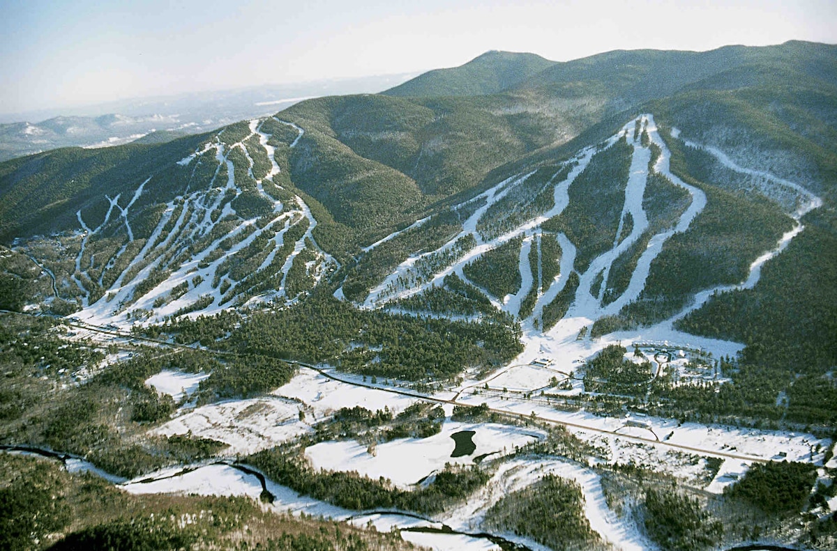 Aerial view of snow-covered mountains featuring ski slopes and trails. The landscape is framed by dense forested areas and a winding river at the base. The serene winter scene displays a vast expanse of white snow, indicating ideal conditions for skiing and snowboarding.