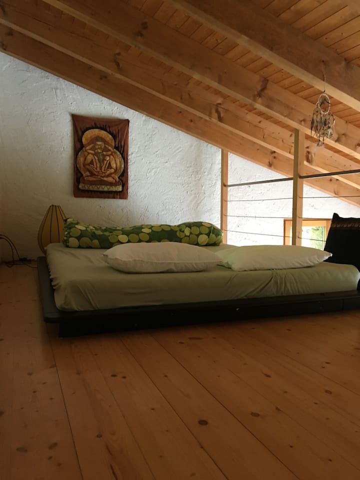 Стая под покрива