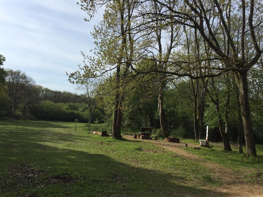 Owl's hoot is set in a wild flower meadow surrounded by woodland.