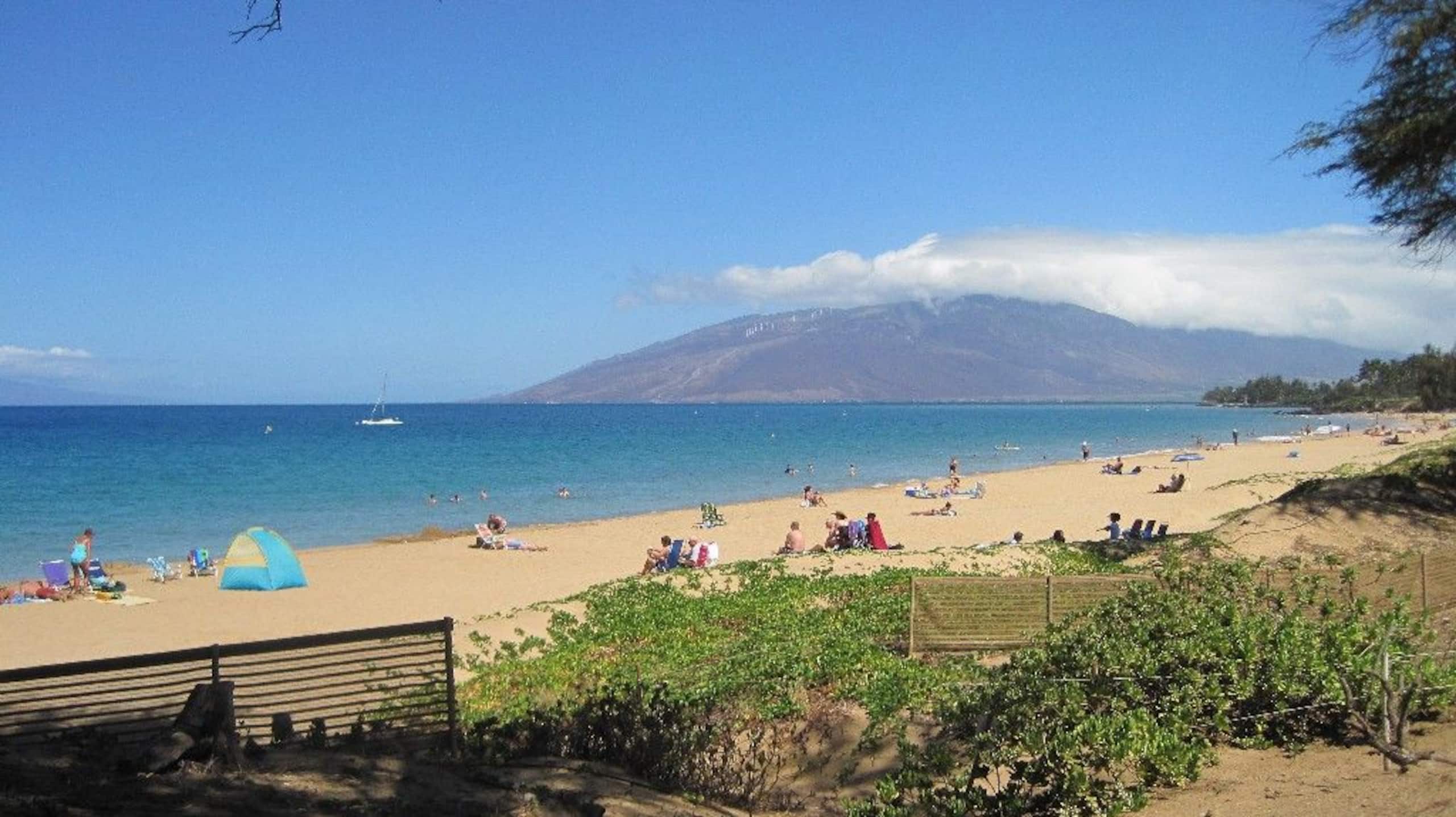 Condo in Kihei · ★4.98 · 1 bedroom · 2 beds · 1 bath - Image 24