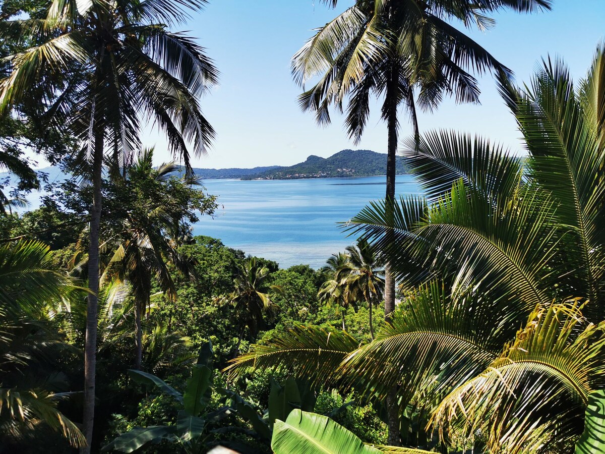 The image presents a serene coastal view featuring lush greenery and palm trees in the foreground. The tranquil blue waters of the bay stretch into the distance, framed by hills and a clear blue sky, creating a harmonious blend of natural elements.