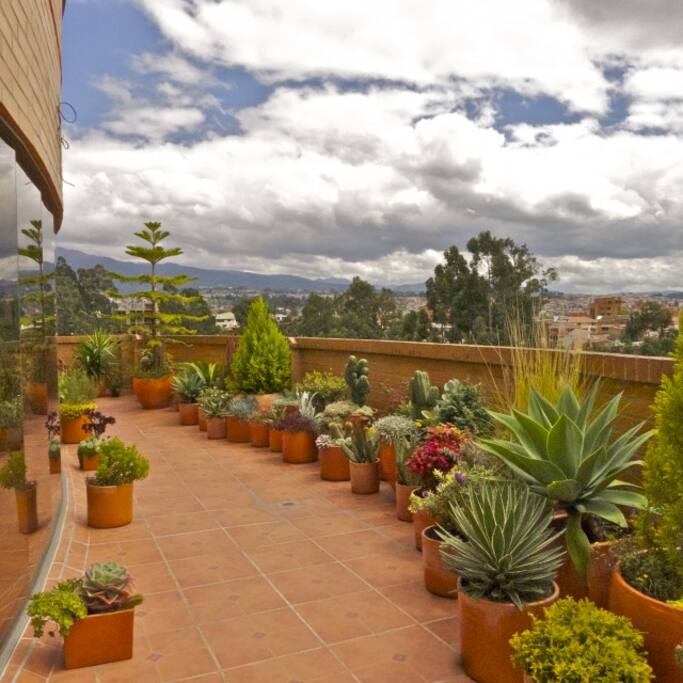 Patio designed by owner who is a landscape designer