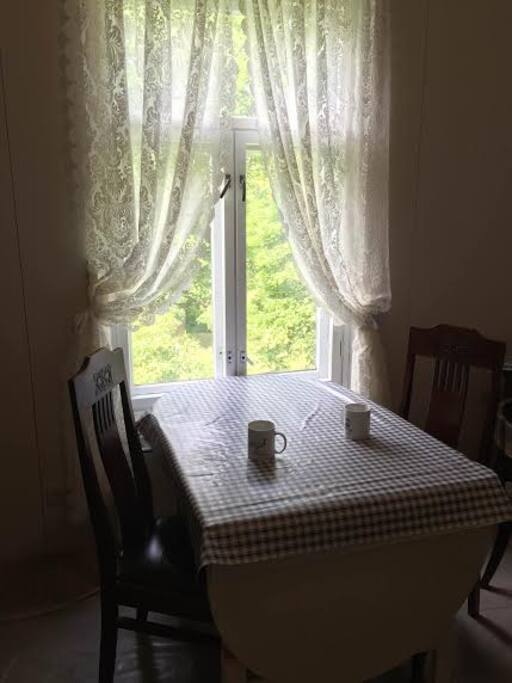 View from the kitchen.