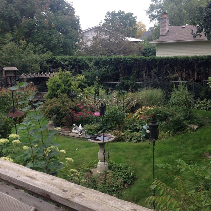 Great BBQ and deck overlooking garden.