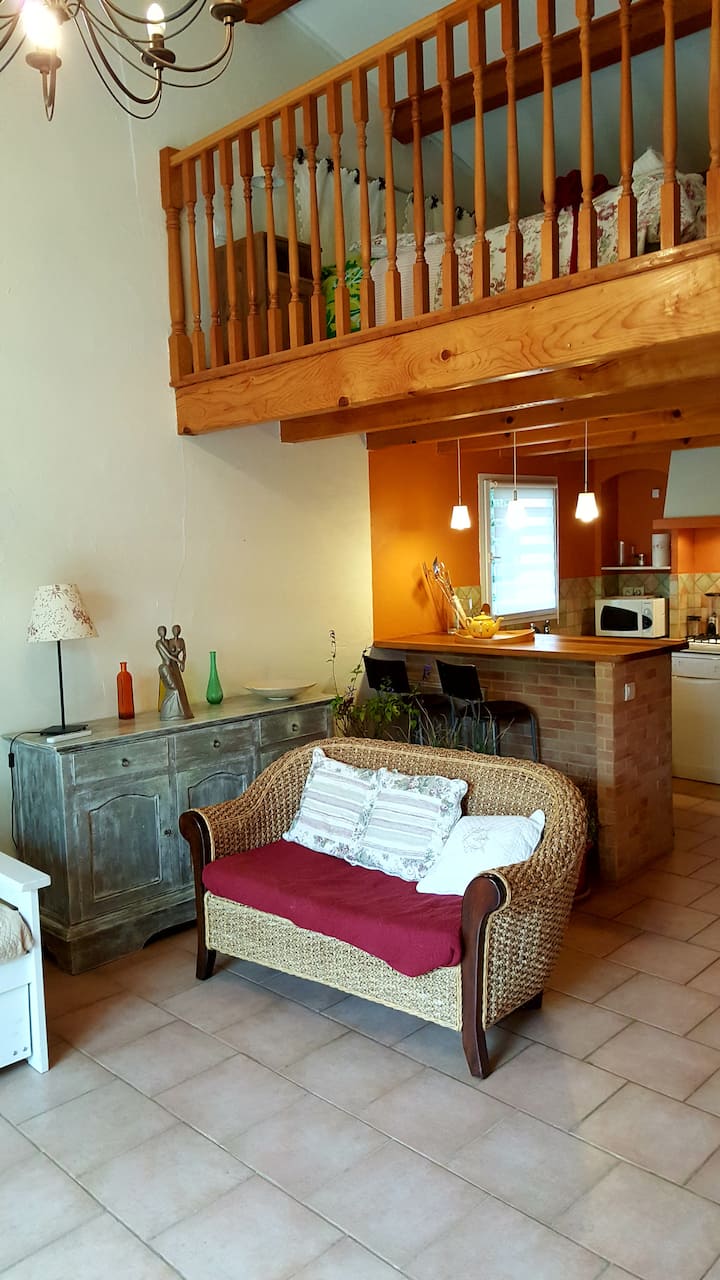 סלון מטבעות