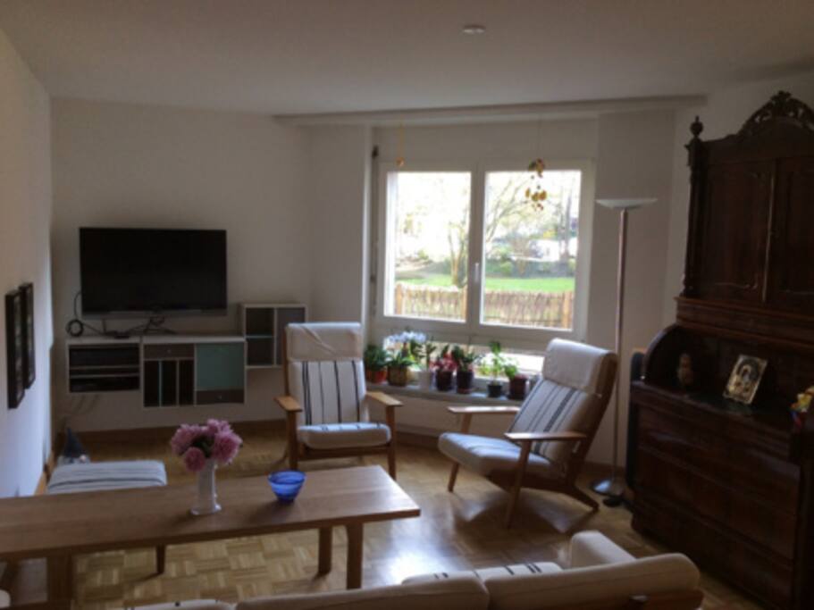 View from living room to garden