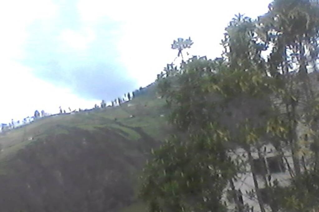 vista desde ventana