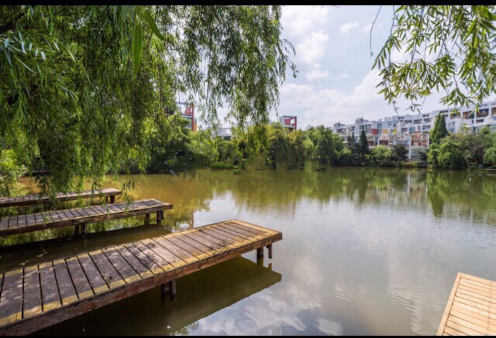 小区内湖景lakeside