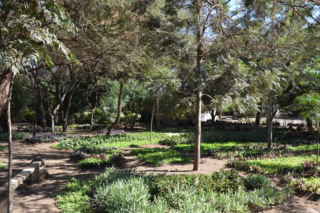 Perfectly maintained gardens are one of the highlights of this remarkable guest property.