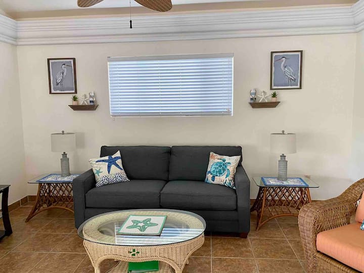 Brand New Sleeper Sofa