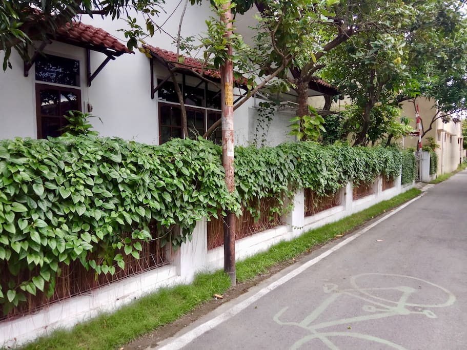 Road side of the House