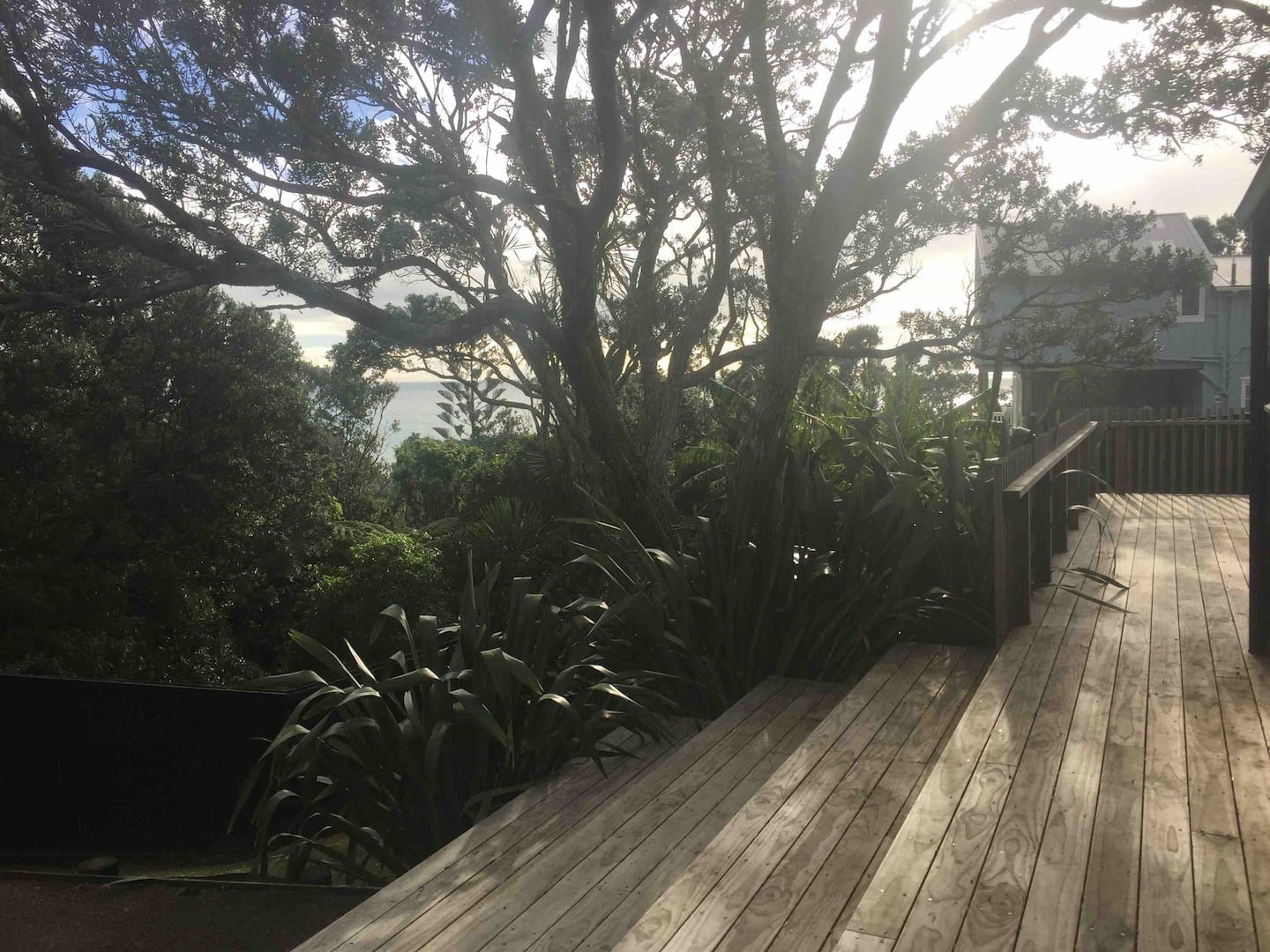 Muriwai Cedar Bach 5