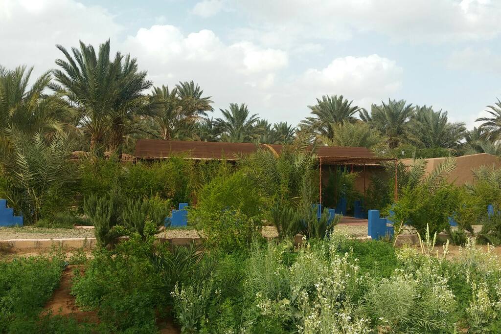 Jardin