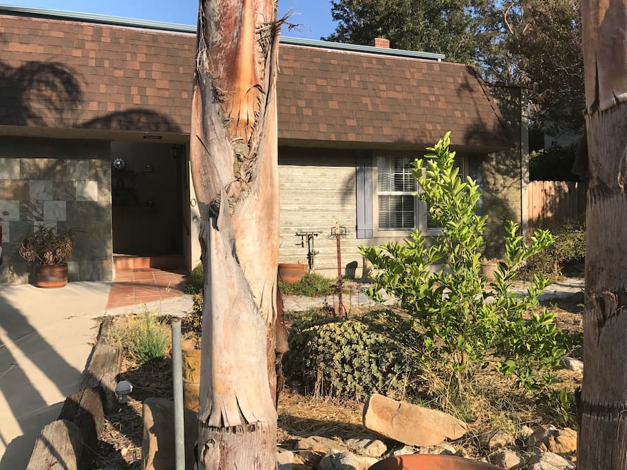 Front view of house