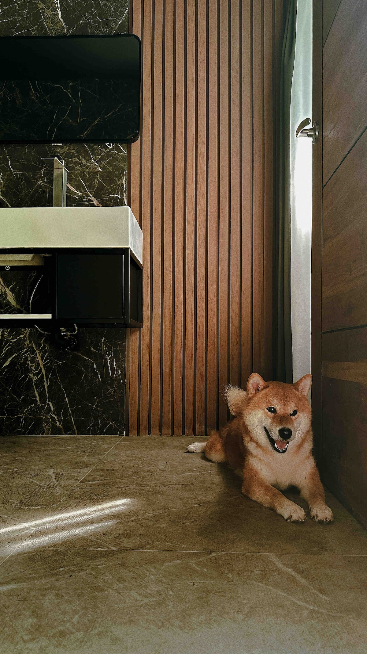 A clean and well-maintained bathroom area features sleek marble surfaces and textured wooden walls. Soft natural light filters in through a nearby window, enhancing the relaxing environment. A dog rests peacefully on the stone floor near the door, contributing to the cozy atmosphere.