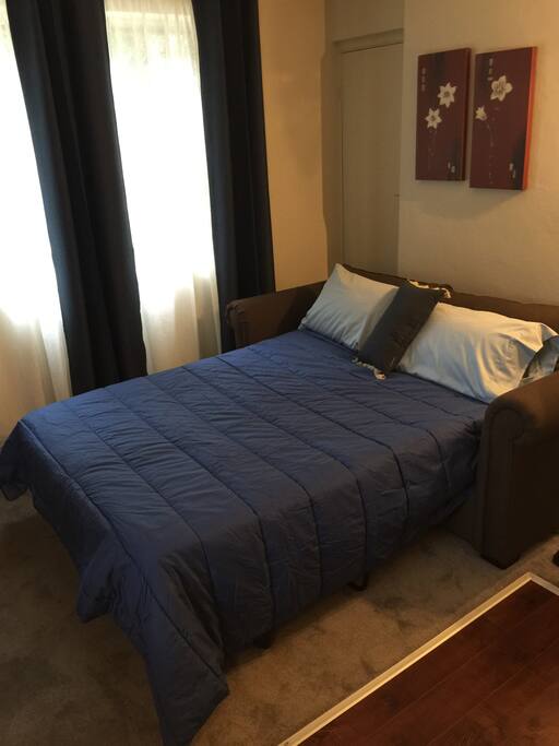 Fold out couch in living area if required.