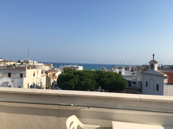 Panoramic apartment in the center