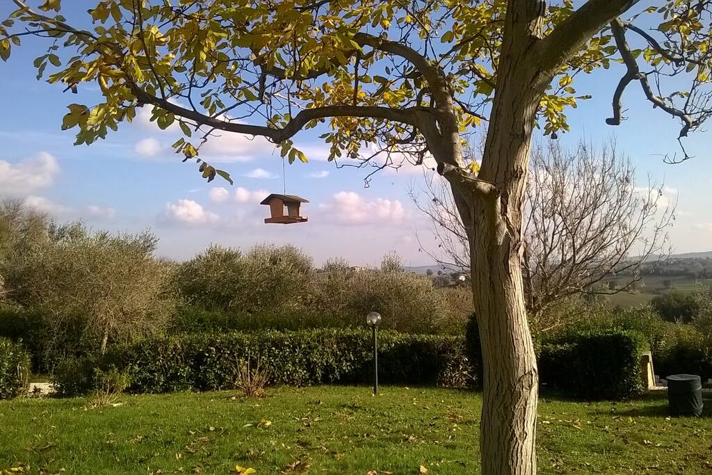 giardino