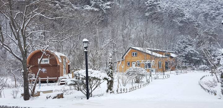 Blossom ecological source in winter