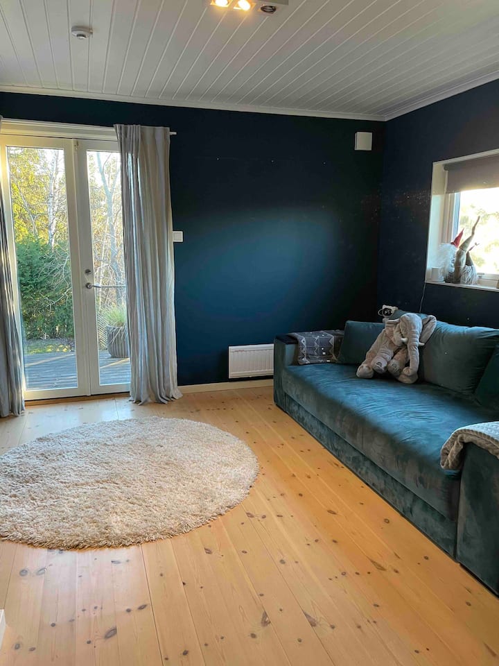 Sala de estar para niños con entrenador que se puede sacar a una cama de 160 cm. Televisión con Apple TV. Puertas de balcón al patio.