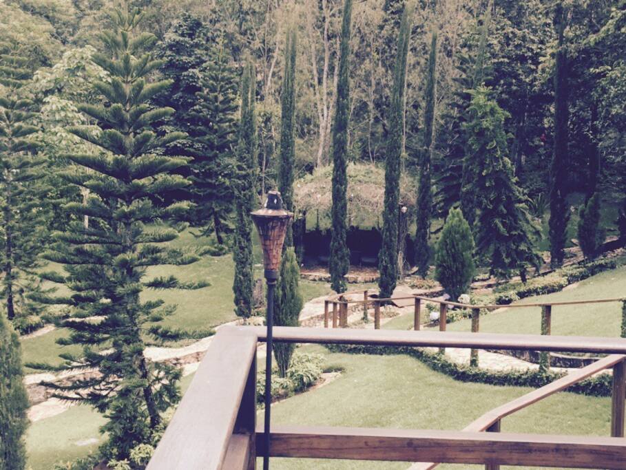 Vista do Deck para jardim e o caramanchão