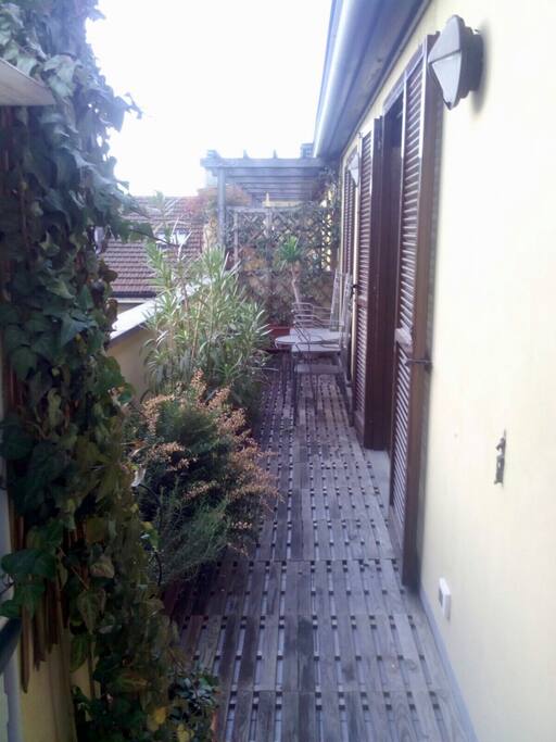 terrace