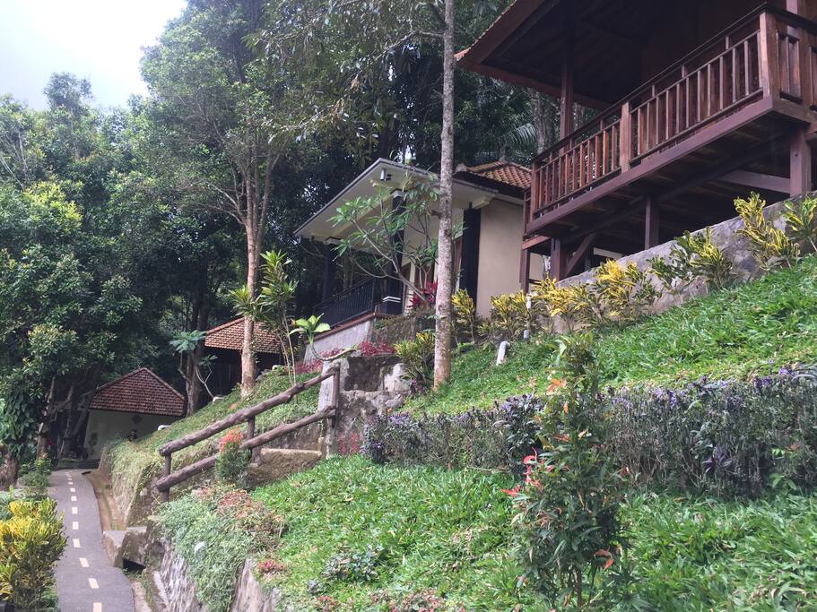 Bali Rahayu landscape