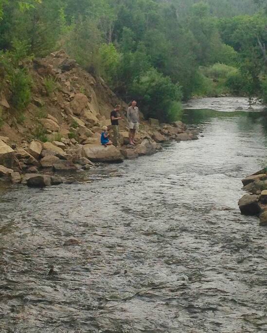 Trout Fishing