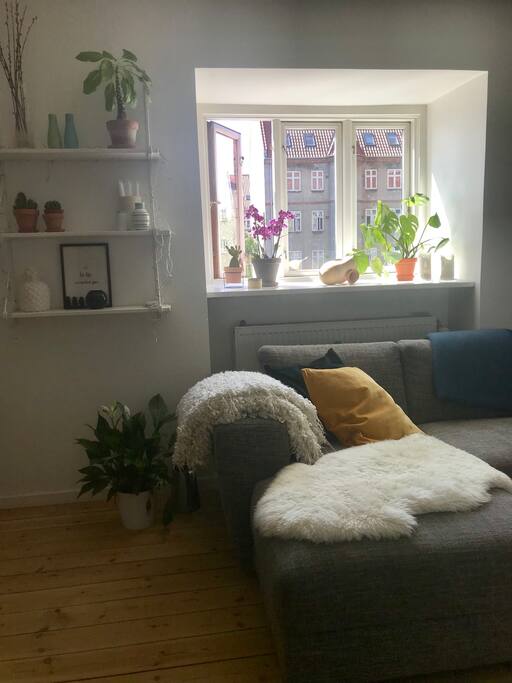 The living room