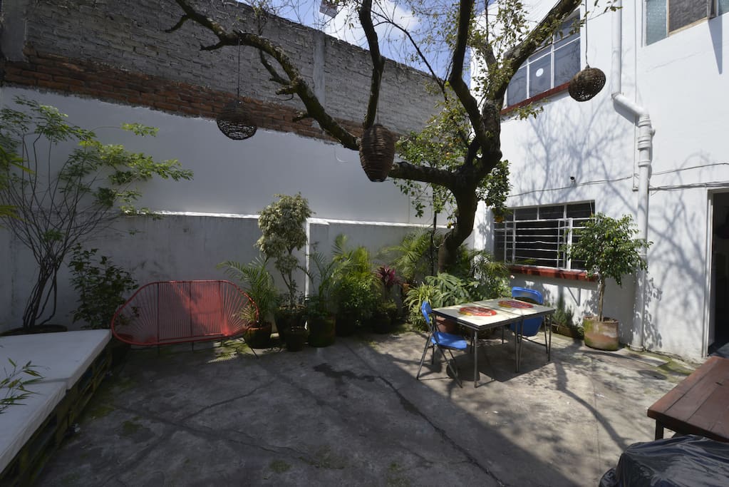 Backyard daytime