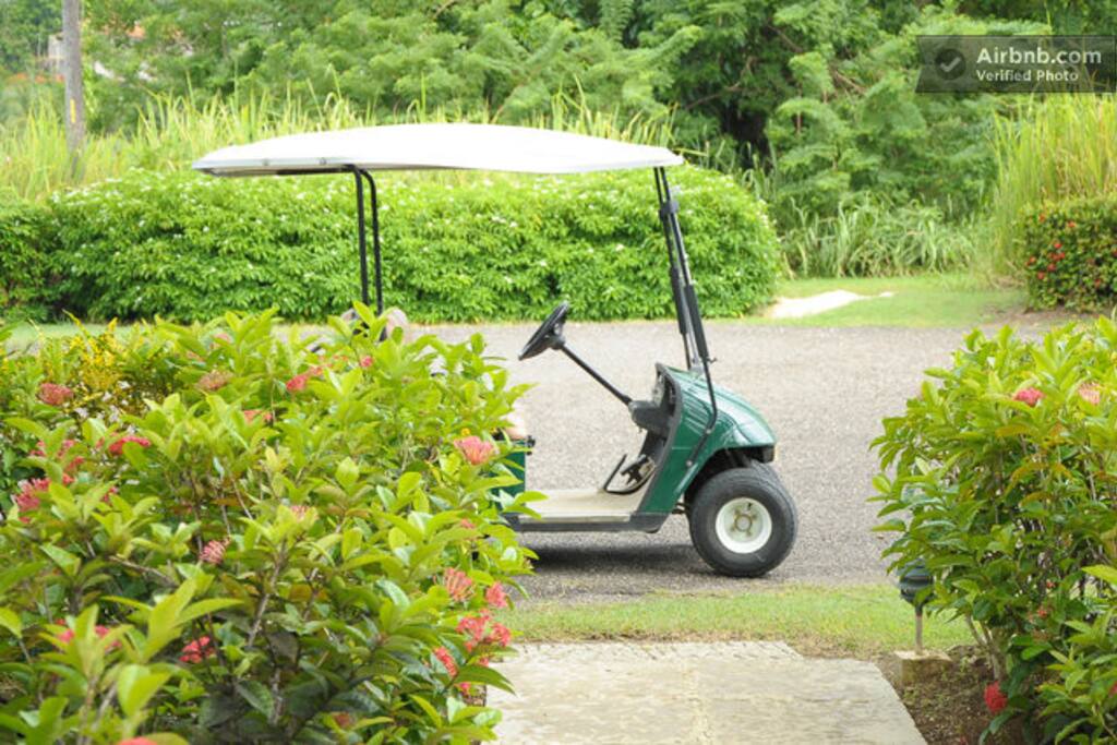 Get around the resort via you