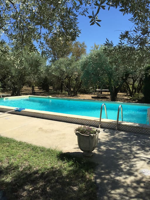 La piscine