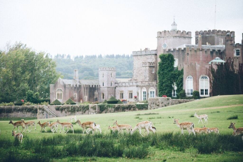 Powderham Castle
